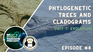 Evolutionary Relationships: Phylogenetic Trees and Cladograms