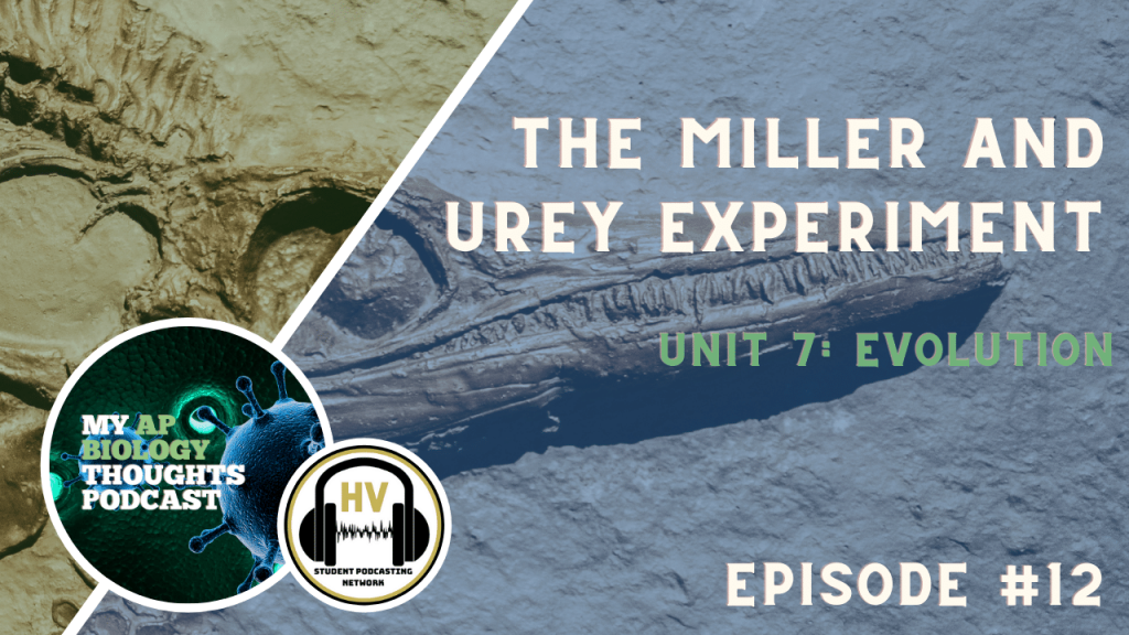 Miller and Urey Experiment