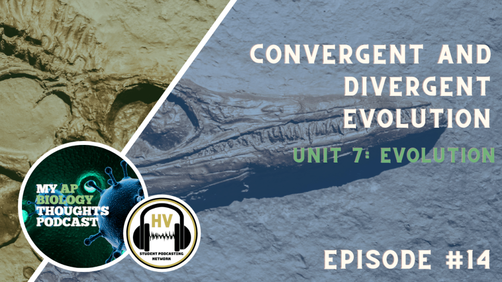 Convergent and Divergent Evolution