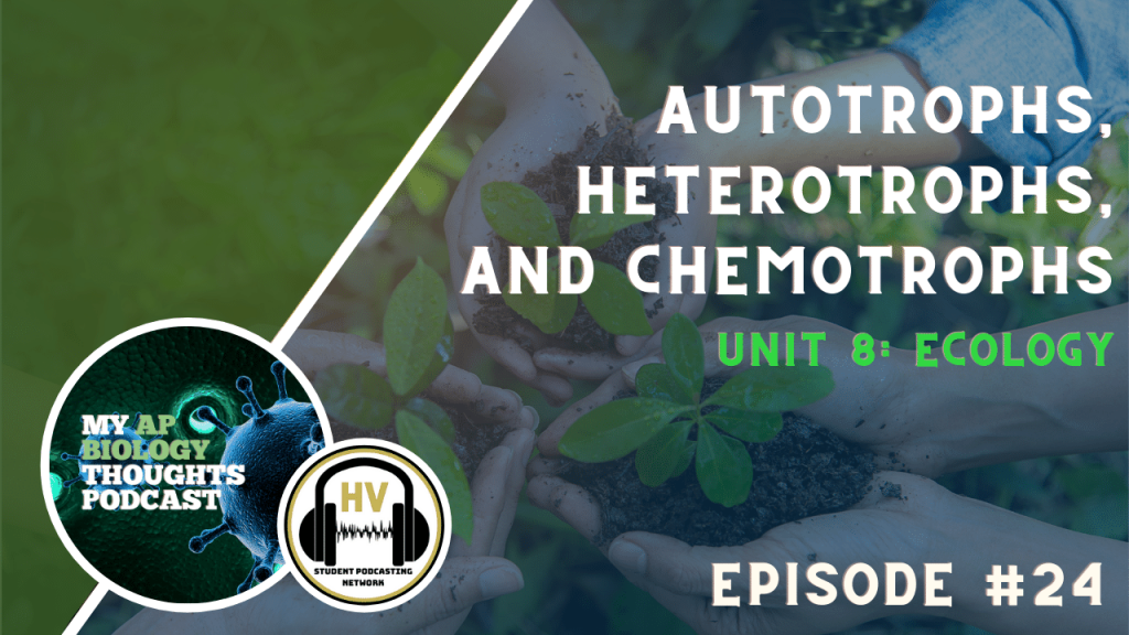 Autotrophs, Heterotrophs, and Chemotrophs