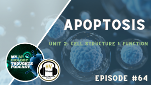 Apoptosis