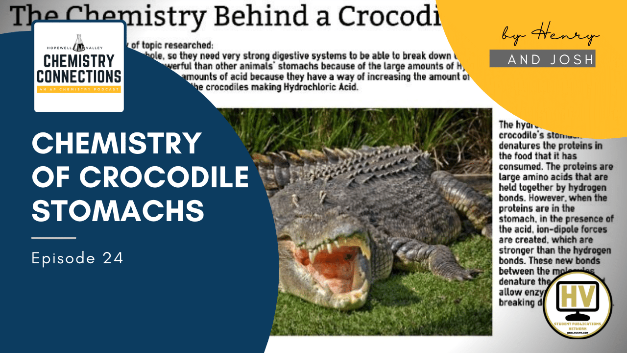 Chemistry of a Crocodiles Stomach