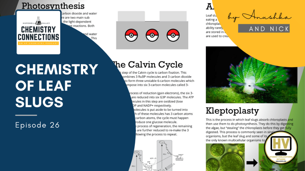 Chemistry of Leaf Slugs