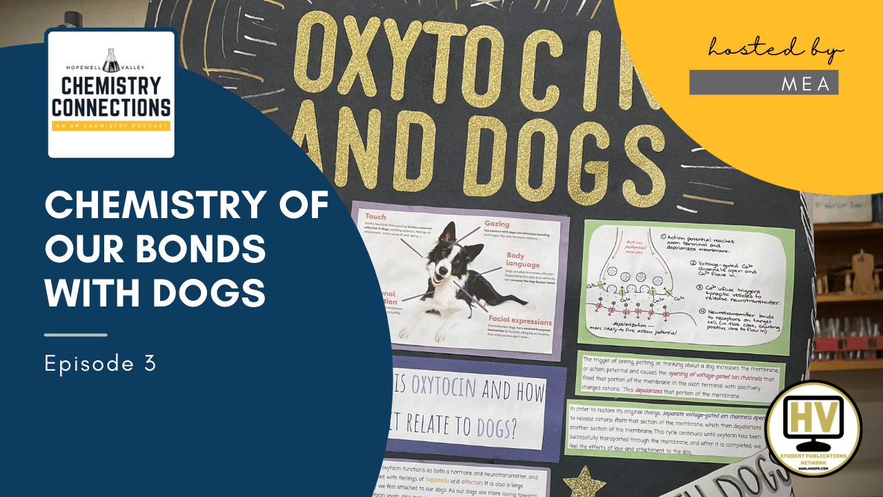 Chemistry of Our Bonds with Dogs