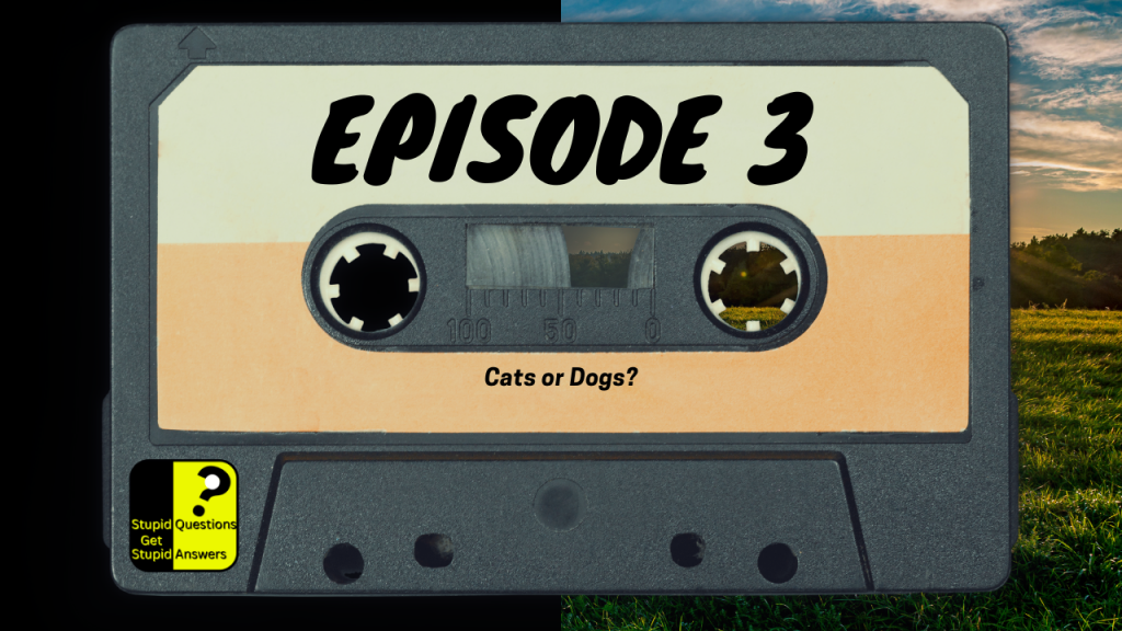 Epi 3 Cats or Dogs