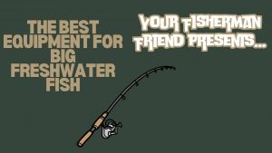 The Best lures for all Freshwater fish